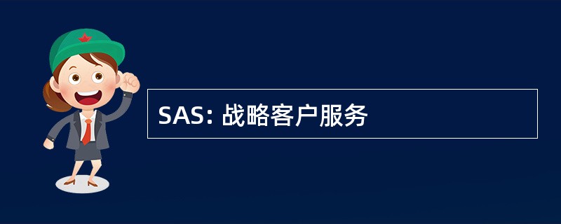 SAS: 战略客户服务