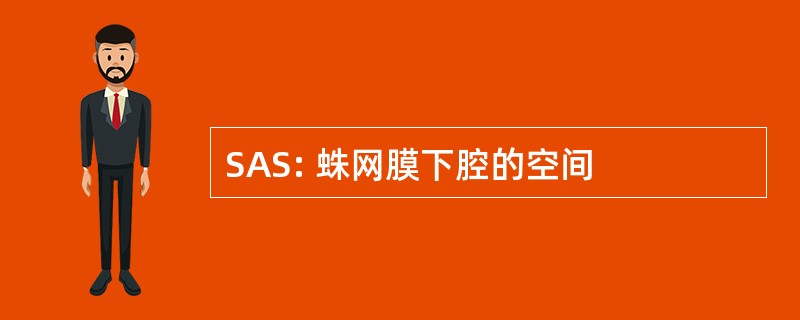 SAS: 蛛网膜下腔的空间