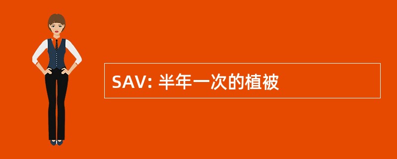 SAV: 半年一次的植被