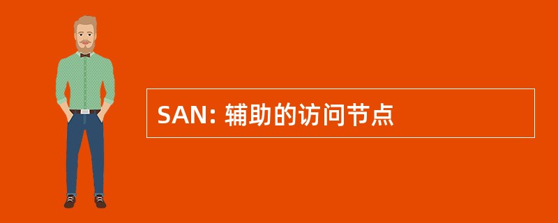 SAN: 辅助的访问节点