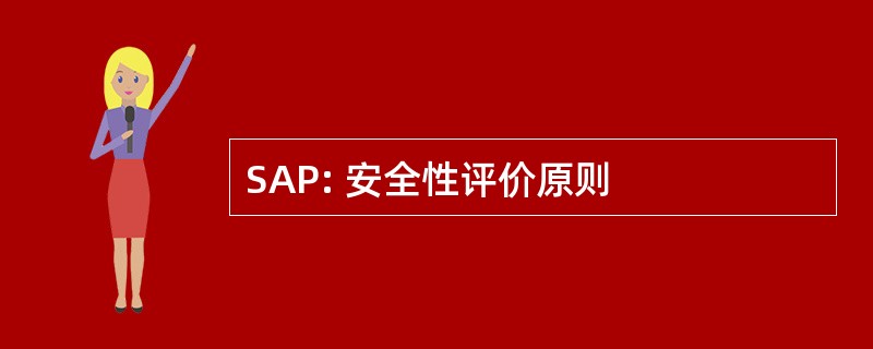 SAP: 安全性评价原则