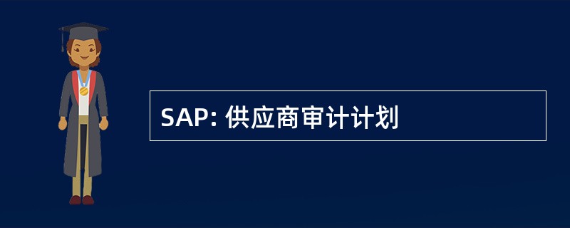 SAP: 供应商审计计划