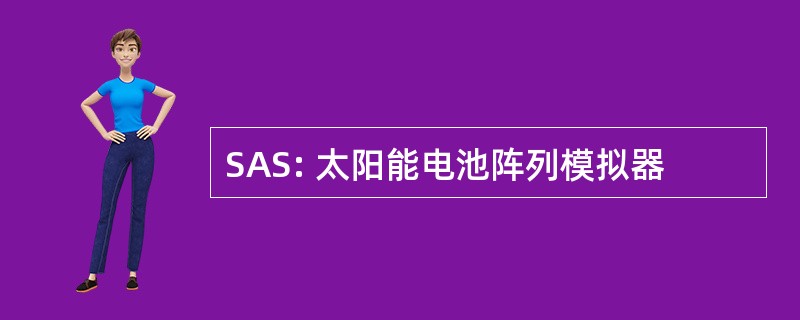 SAS: 太阳能电池阵列模拟器