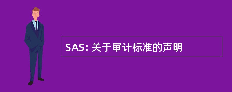 SAS: 关于审计标准的声明