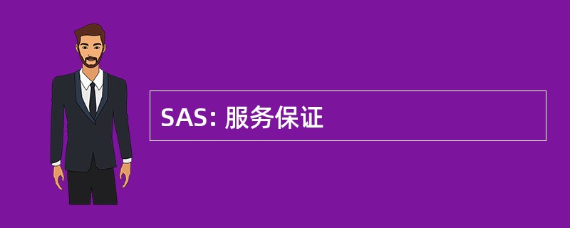 SAS: 服务保证