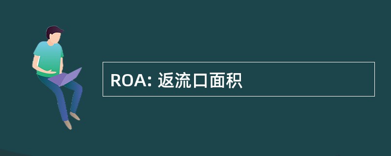 ROA: 返流口面积