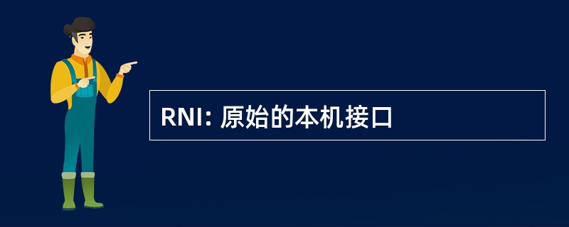 RNI: 原始的本机接口