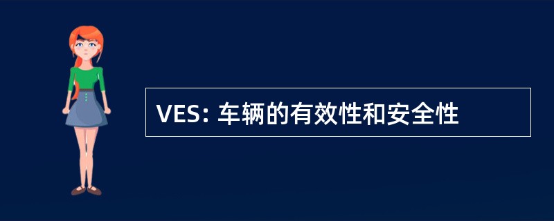 VES: 车辆的有效性和安全性