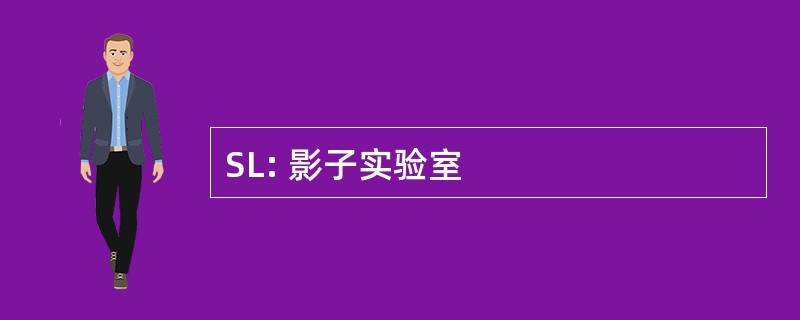 SL: 影子实验室