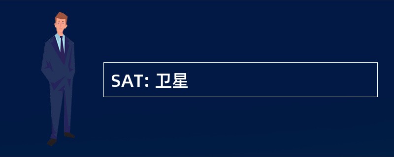 SAT: 卫星