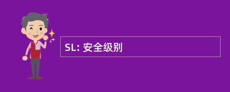 SL: 安全级别