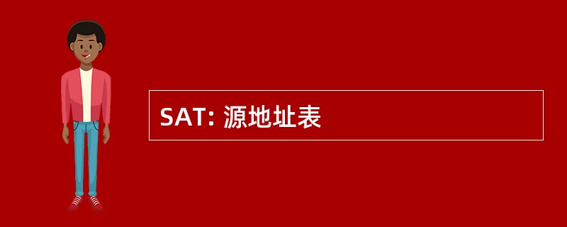 SAT: 源地址表