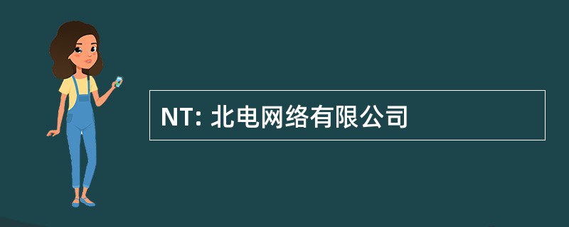 NT: 北电网络有限公司