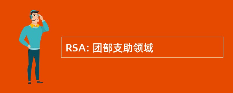 RSA: 团部支助领域