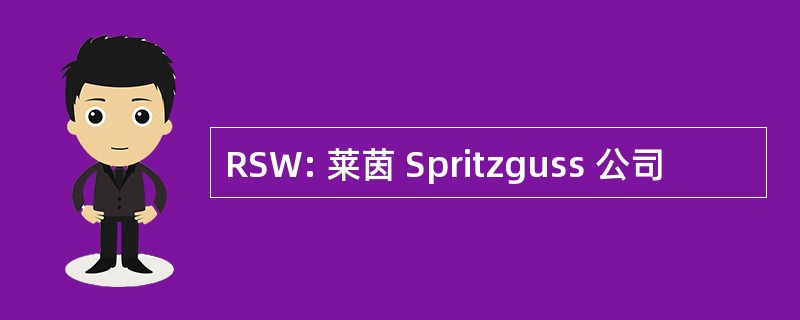 RSW: 莱茵 Spritzguss 公司