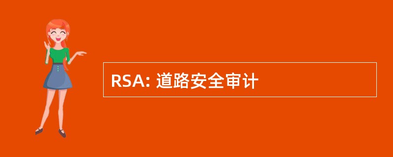 RSA: 道路安全审计