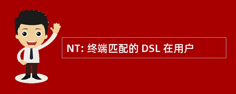 NT: 终端匹配的 DSL 在用户