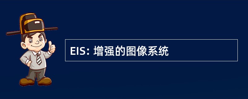 EIS: 增强的图像系统