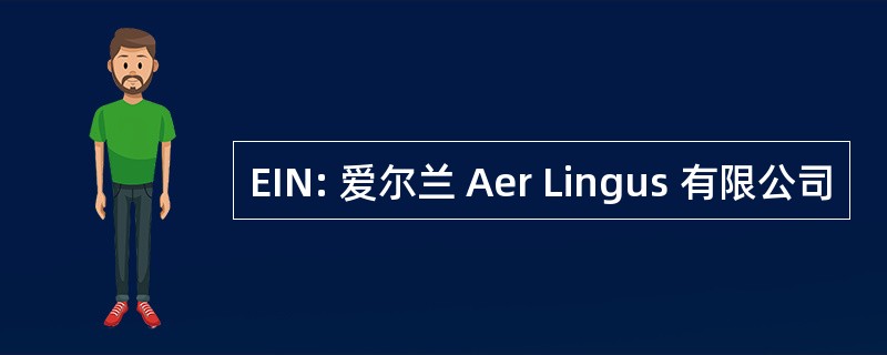 EIN: 爱尔兰 Aer Lingus 有限公司