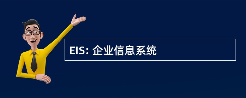 EIS: 企业信息系统