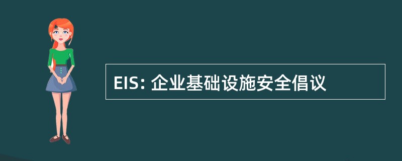 EIS: 企业基础设施安全倡议