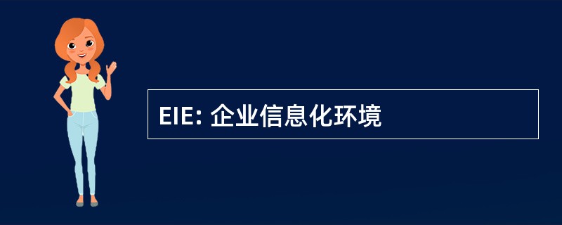 EIE: 企业信息化环境