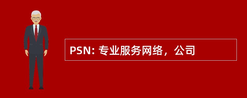 PSN: 专业服务网络，公司