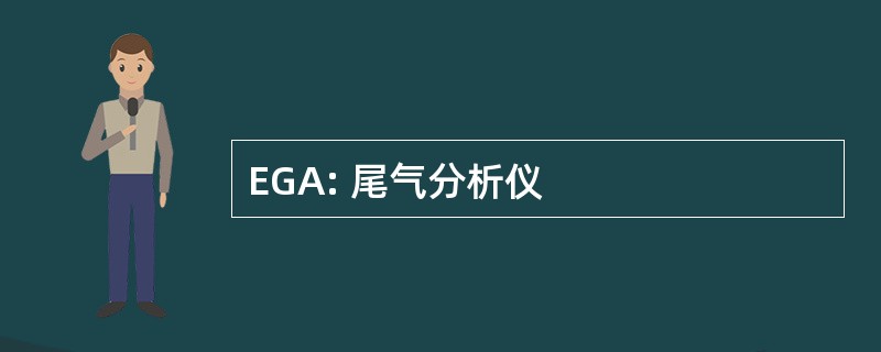 EGA: 尾气分析仪