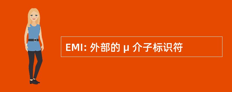 EMI: 外部的 μ 介子标识符