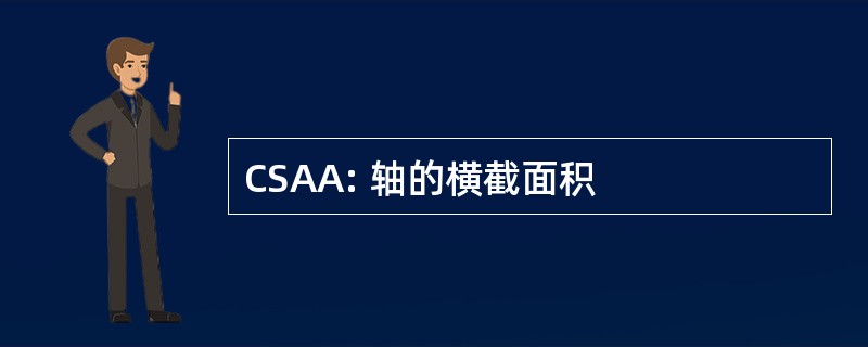 CSAA: 轴的横截面积