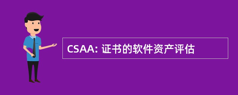 CSAA: 证书的软件资产评估