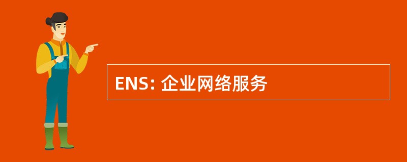 ENS: 企业网络服务