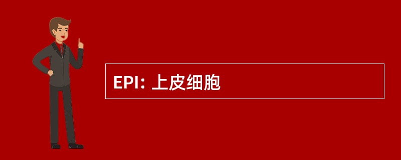 EPI: 上皮细胞