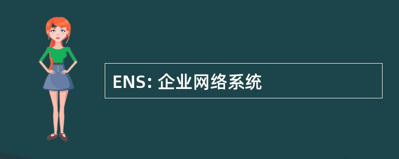 ENS: 企业网络系统