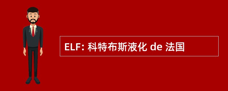 ELF: 科特布斯液化 de 法国