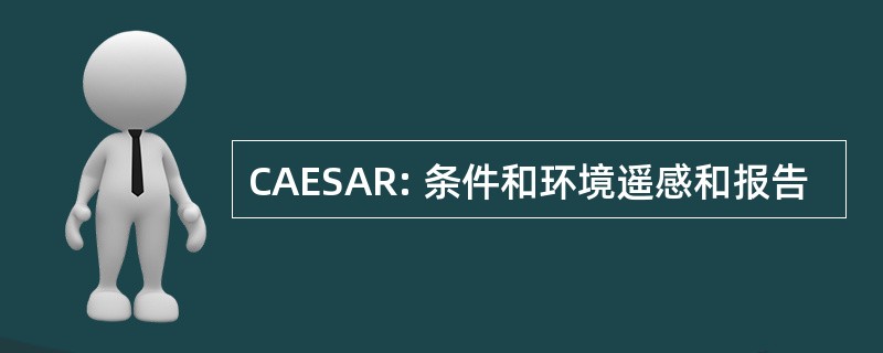 CAESAR: 条件和环境遥感和报告