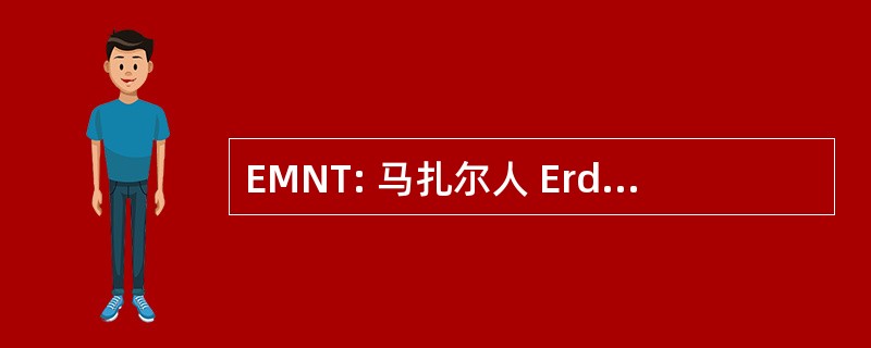 EMNT: 马扎尔人 Erdélyi Nemzeti Tanács