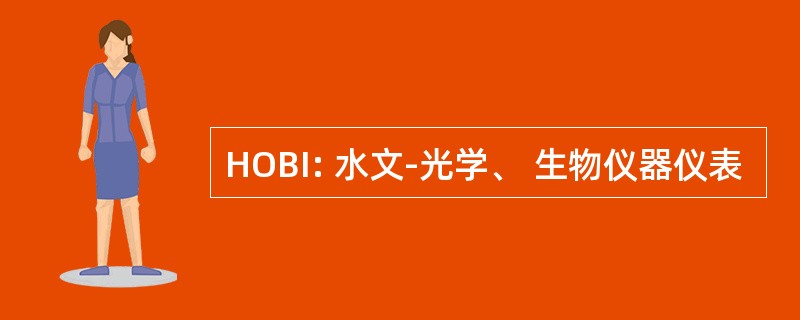 HOBI: 水文-光学、 生物仪器仪表