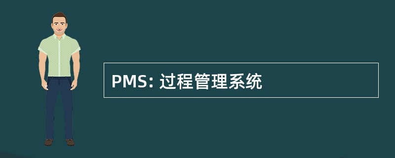 PMS: 过程管理系统