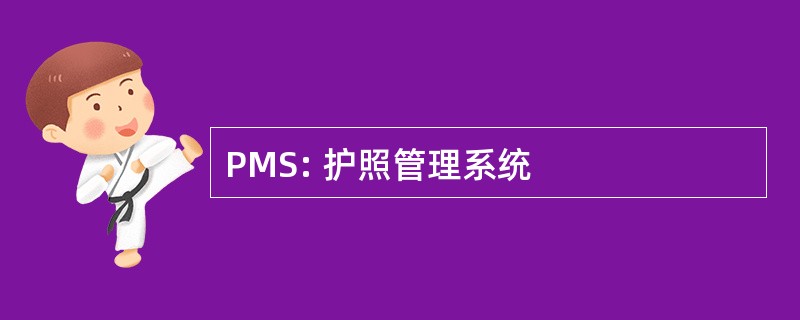 PMS: 护照管理系统