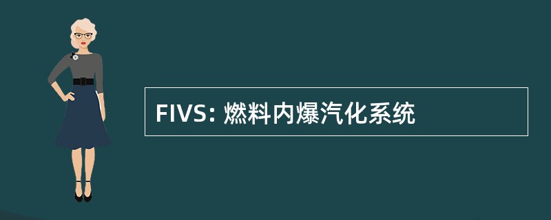 FIVS: 燃料内爆汽化系统