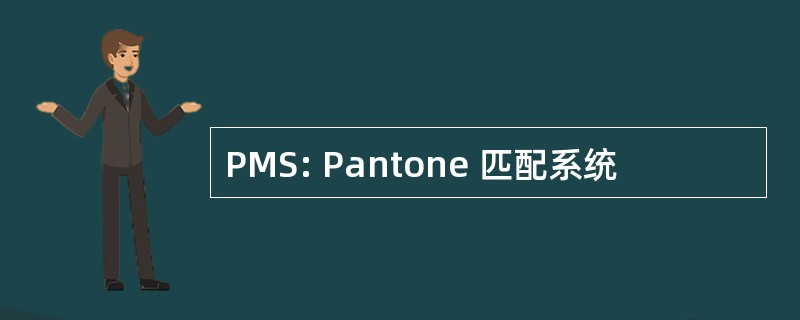 PMS: Pantone 匹配系统