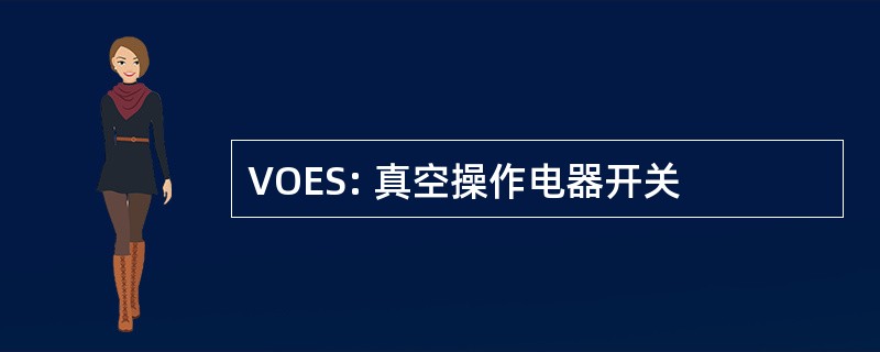 VOES: 真空操作电器开关