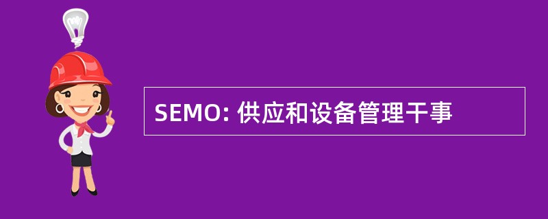 SEMO: 供应和设备管理干事