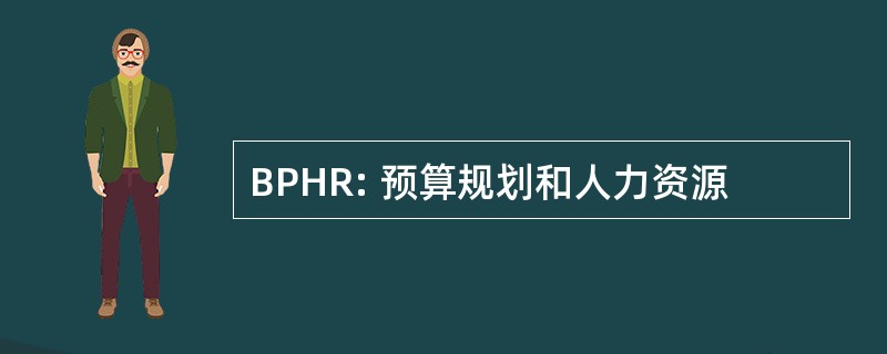 BPHR: 预算规划和人力资源