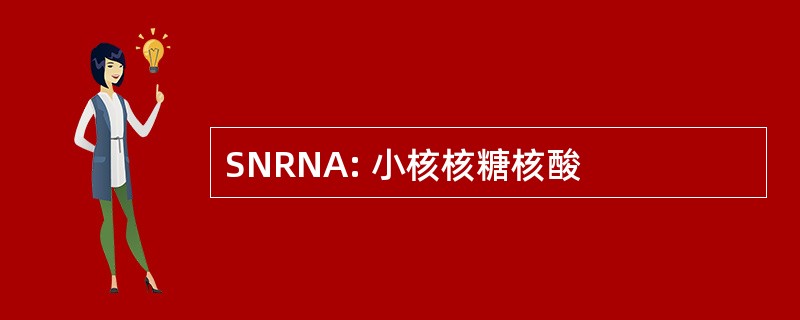 SNRNA: 小核核糖核酸