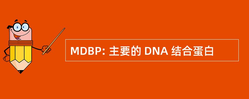 MDBP: 主要的 DNA 结合蛋白