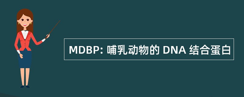 MDBP: 哺乳动物的 DNA 结合蛋白