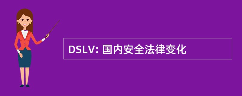 DSLV: 国内安全法律变化