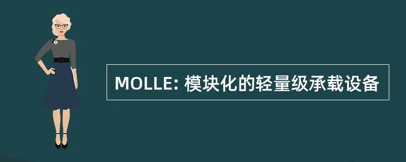 MOLLE: 模块化的轻量级承载设备